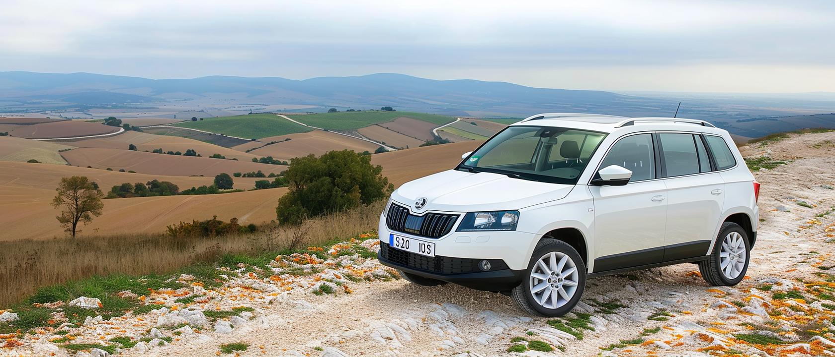 Skoda Yeti 2.0 литра опиши двигатель, какой ресурс он имеет, какое топливо использует двигатель на Skoda Yeti объёмом 2.0 литра какие есть нюансы по данному двигателю исходя из отзывов владельцев., Skoda Yeti 2.0 литра опиши двигатель, какой ресурс он имеет