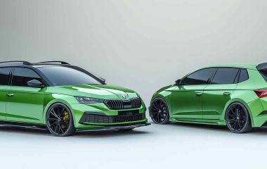 Автомобильные аккумуляторы для автомобилей Skoda