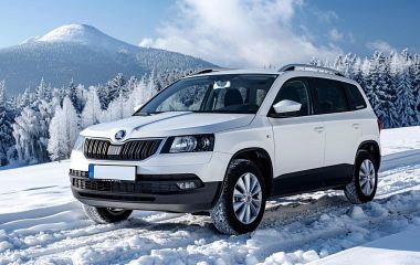 Скода Йети 1.8 л: допуски масла, летнее и зимнее масло, лучшие производители, отзывы владельцев