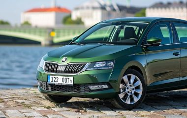 Skoda Rapid 1.2 литра: рекомендации по объему и вязкости моторного масла, популярные производители и статистика отзывов владельцев