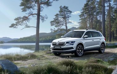 Skoda Kamiq 1 литр: описание двигателя, ресурс, топливо, отзывы владельцев