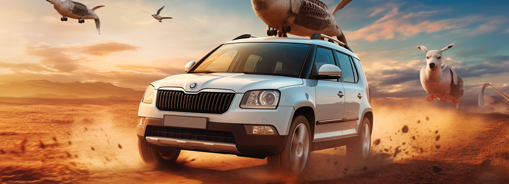 Skoda yeti 1 поколения, skoda yeti первое поколение