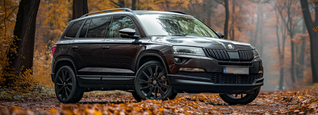 заміна колодок skoda kodiaq