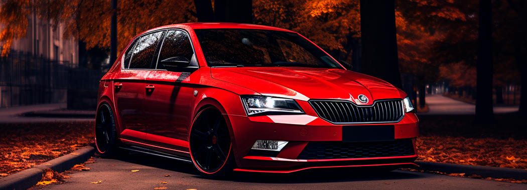 Кодування skoda