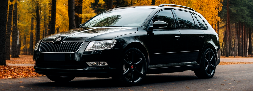 Skoda octavia a5 1 9 tdi об'єм олії, заміна олії skoda octavia 1 9 tdi