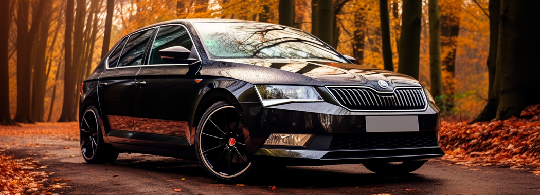 skoda octavia a5 заміна троса ручника