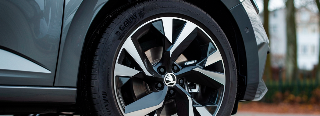 Скорость замены переднего ступичного подшипника на Skoda Fabia