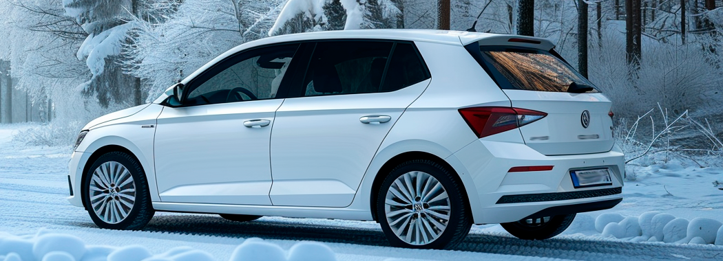 Скидання сервісного інтервалу Skoda Fabia