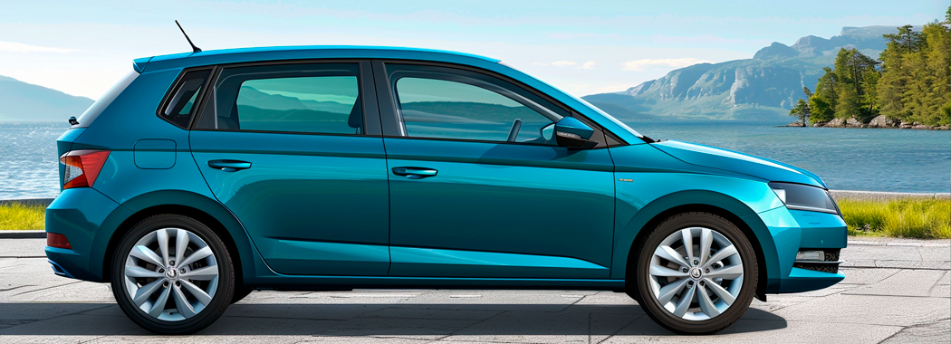 Скидання сервісного інтервалу Skoda Fabia