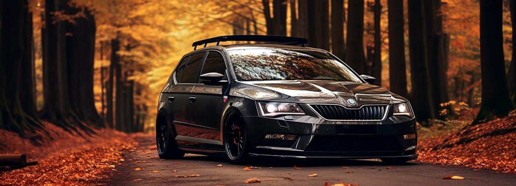 Skoda octavia a5 заміна олії, skoda octavia заміна олії