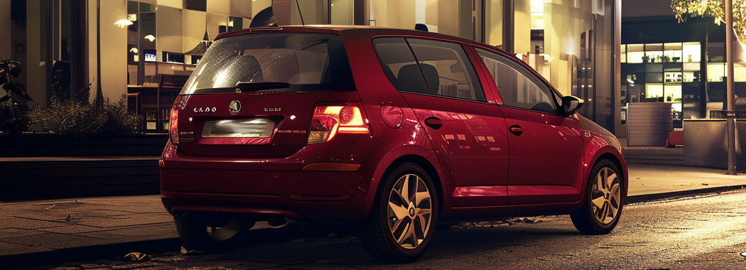 skoda roomster 2009 характеристики