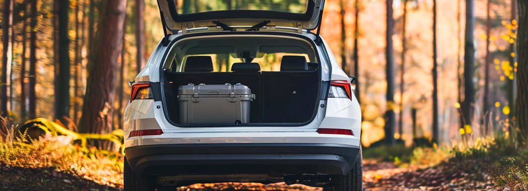 Skoda karoq багажник на дах