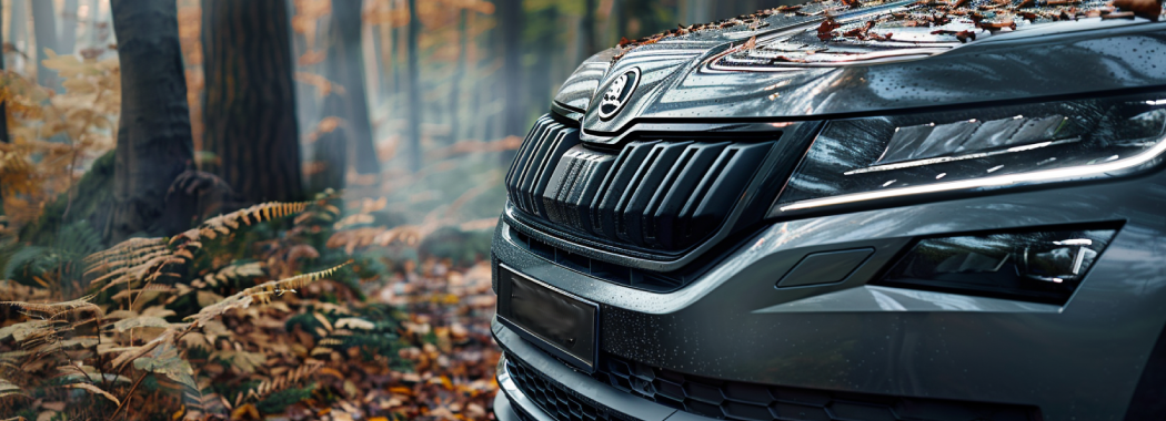 Замена воздушного фильтра skoda kodiaq