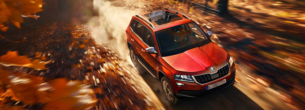 skoda yeti плюси та мінуси