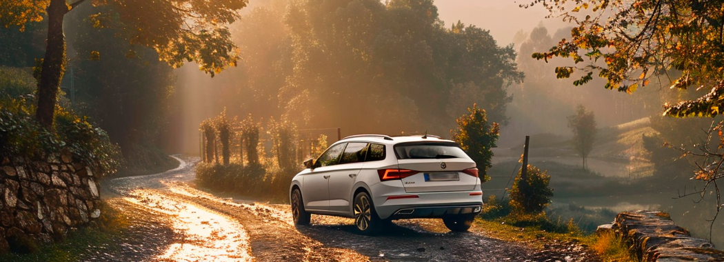 skoda octavia tour заміна олії кпп