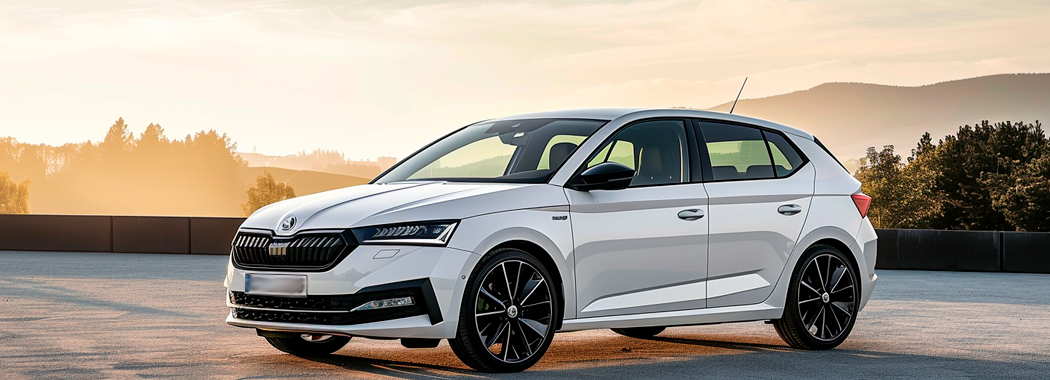 Заміна приводного ременя та ременя генератора Skoda Fabia 1.2