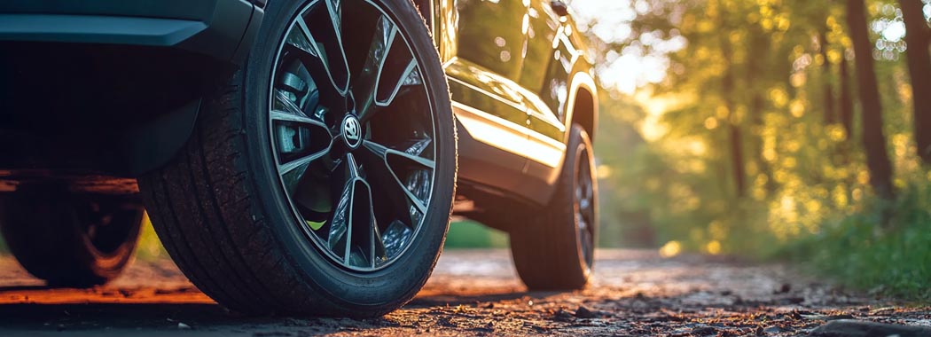 літні шини для шкода октавію
